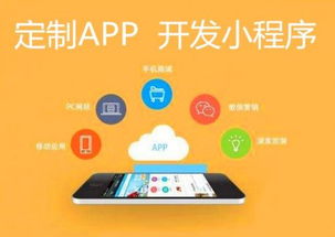 企業(yè)軟件開發(fā) epp 定制小程序公眾號(hào)app在線管理軟件開